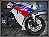 Honda CBR 250 R