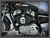 Harley-Davidson XL 1200 C Sportster Custom