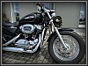 Harley-Davidson XL 1200 C Sportster Custom